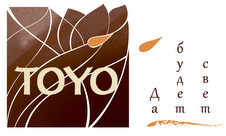 ТО электростанций TOYO